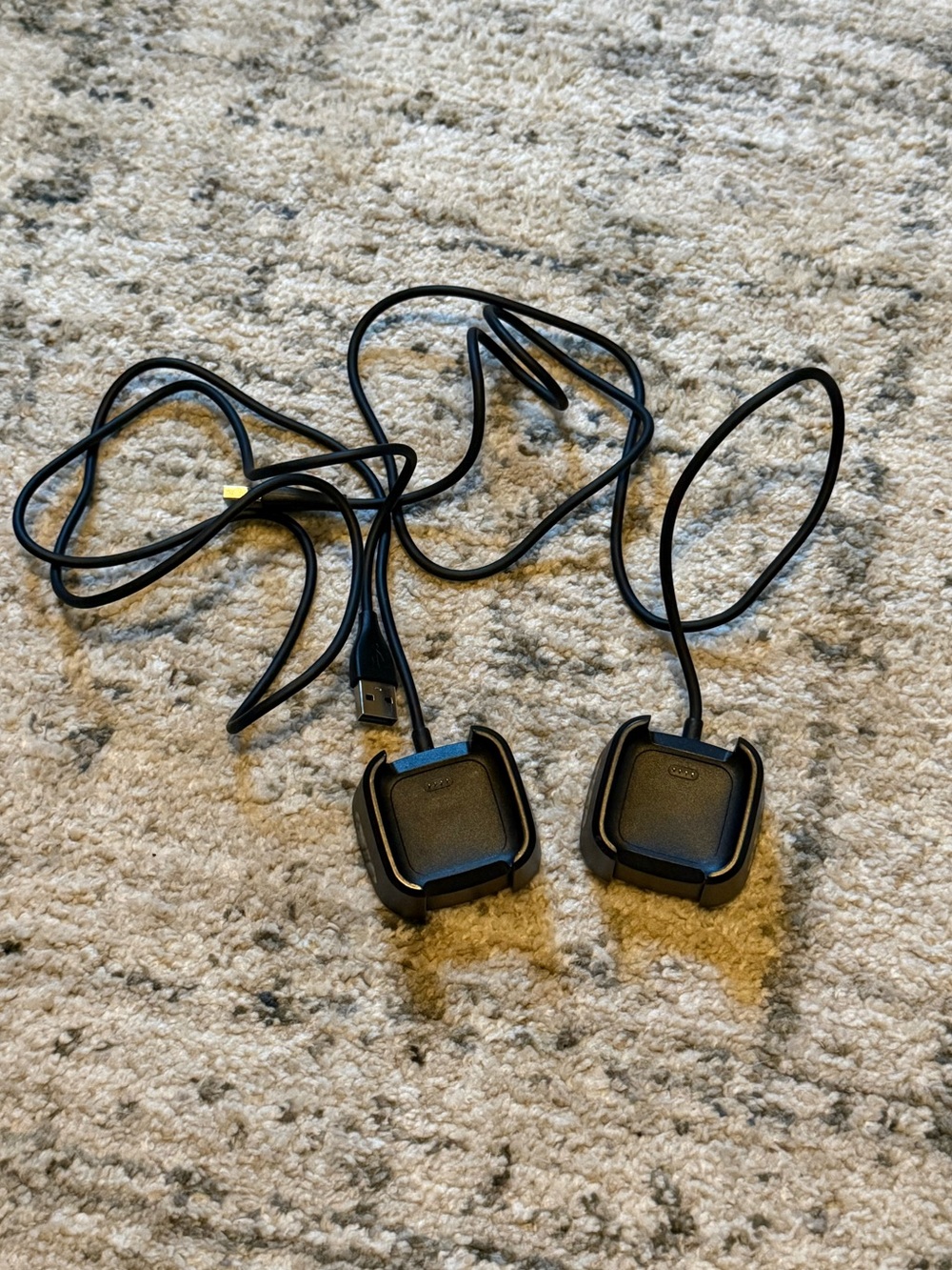 2 Fitbit Versa Chargers